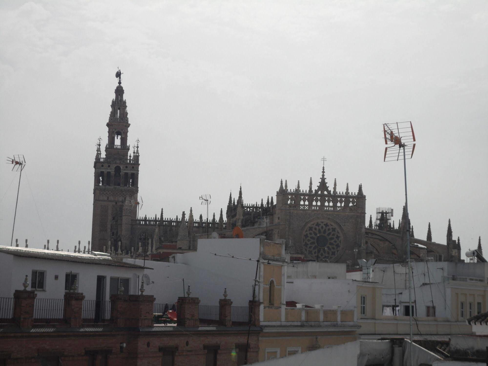 Terrazas De La Catedral Séville